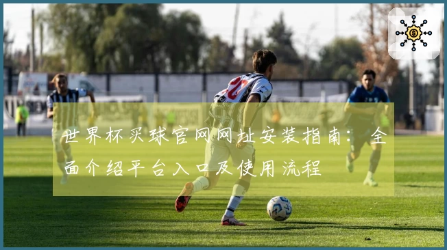 世界杯买球官网网址安装指南：全面介绍平台入口及使用流程
