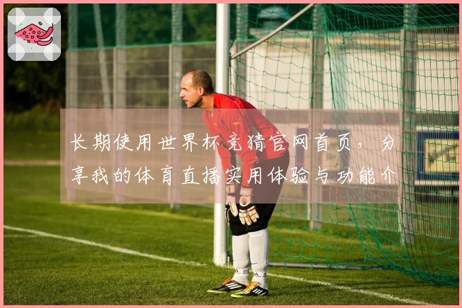 长期使用世界杯竞猜官网首页，分享我的体育直播实用体验与功能介绍