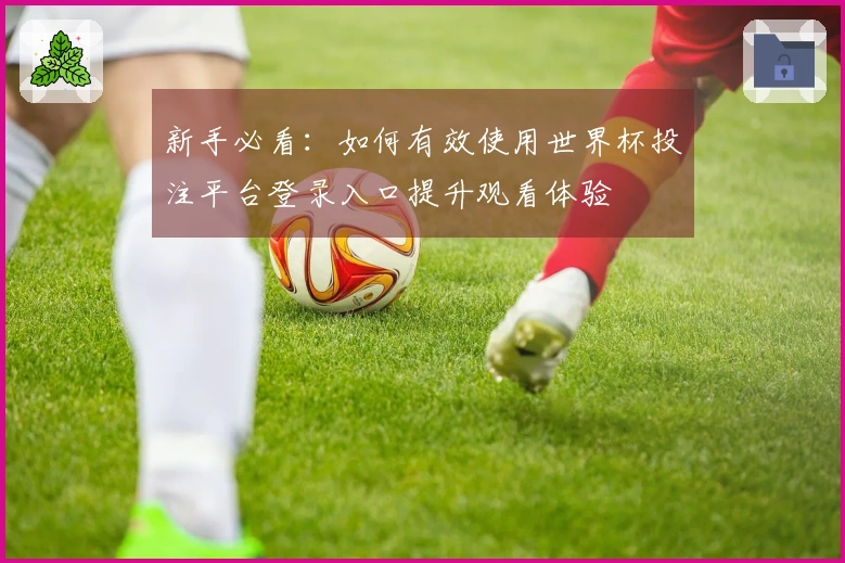 新手必看：如何有效使用世界杯投注平台登录入口提升观看体验
