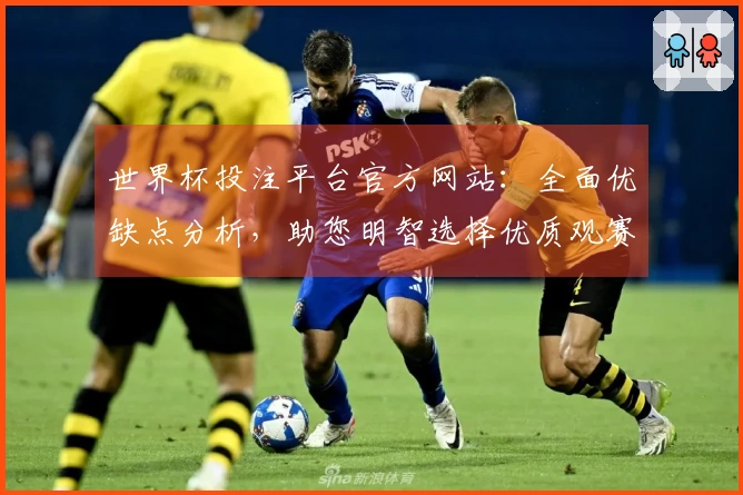 世界杯投注平台官方网站:全面优缺点分析,助您明智选择优质观赛入口