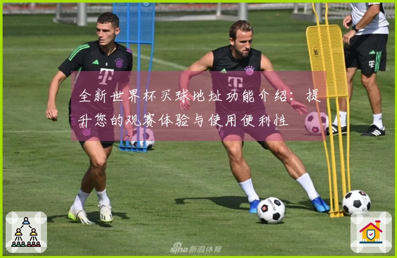 全新世界杯买球地址功能介绍：提升您的观赛体验与使用便利性
