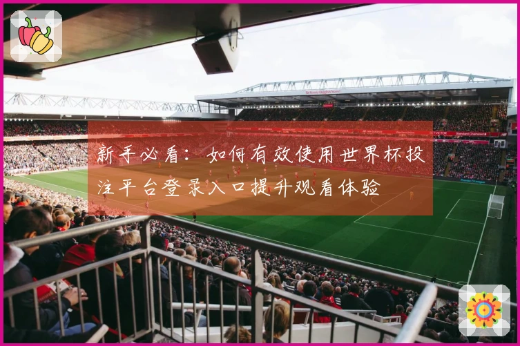 新手必看:如何有效使用世界杯投注平台登录入口提升观看体验