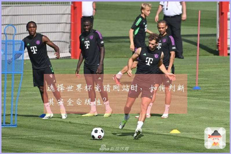 选择世界杯竞猜网站时,如何判断其安全合规性?