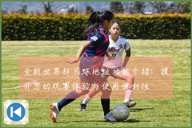 全新世界杯买球地址功能介绍：提升您的观赛体验与使用便利性