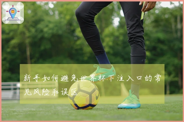 新手如何避免世界杯下注入口的常见风险和误区