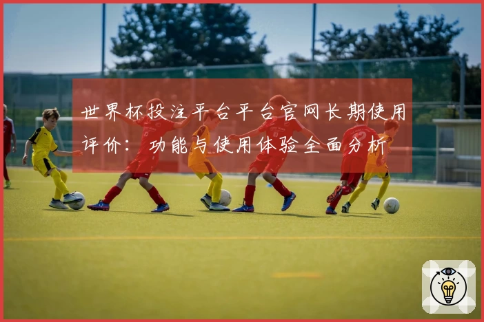 世界杯投注平台平台官网长期使用评价：功能与使用体验全面分析