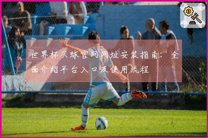 世界杯买球官网网址安装指南：全面介绍平台入口及使用流程