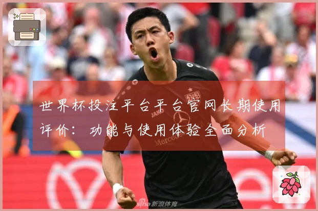 世界杯投注平台平台官网长期使用评价:功能与使用体验全面分析