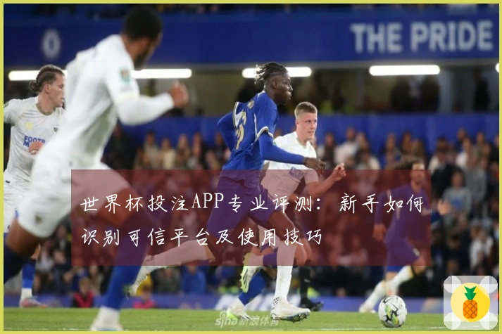世界杯投注APP专业评测:新手如何识别可信平台及使用技巧