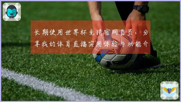 长期使用世界杯竞猜官网首页,分享我的体育直播实用体验与功能介绍