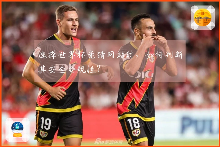 选择世界杯竞猜网站时，如何判断其安全合规性？