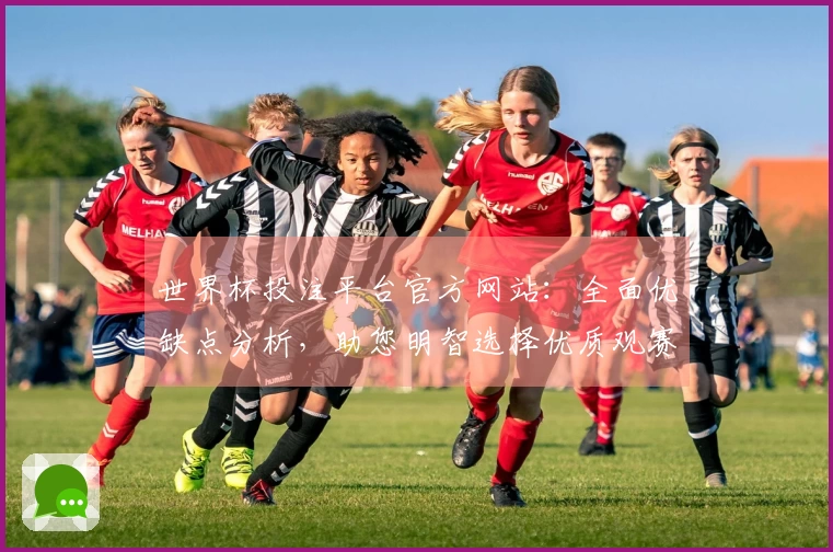 世界杯投注平台官方网站：全面优缺点分析，助您明智选择优质观赛入口